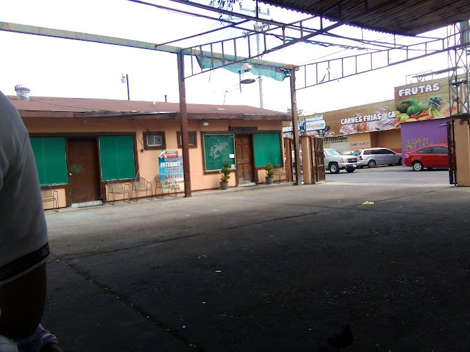 Robot Shark roboshark nuevo laredo