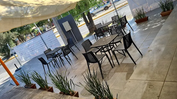 lavado de autos en zapopan